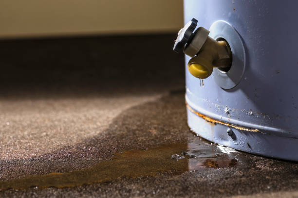 Best Professional water damage repair  in North Logan, UT