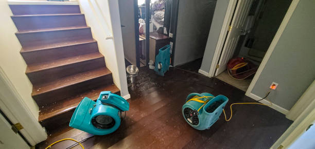  North Logan, UT Water damage restoration Pros