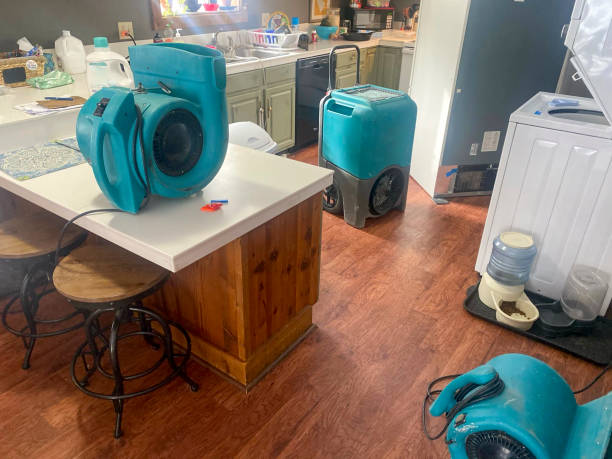 Best Fire Damage Restoration  in North Logan, UT