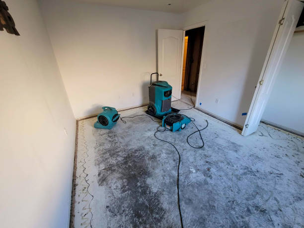 Best Carpet water damage restoration  in North Logan, UT