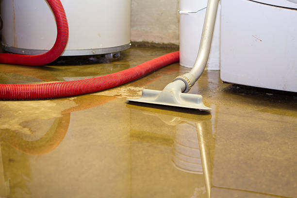 Best Water damage cleanup near me  in North Logan, UT