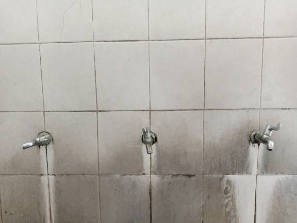 Carpet water damage restoration in North Logan, UT