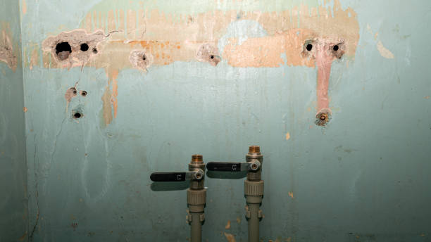 Best Ceiling water damage repair  in North Logan, UT