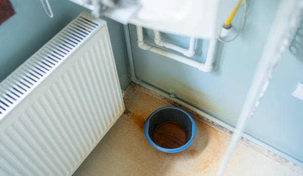 Best Professional water damage repair  in North Logan, UT