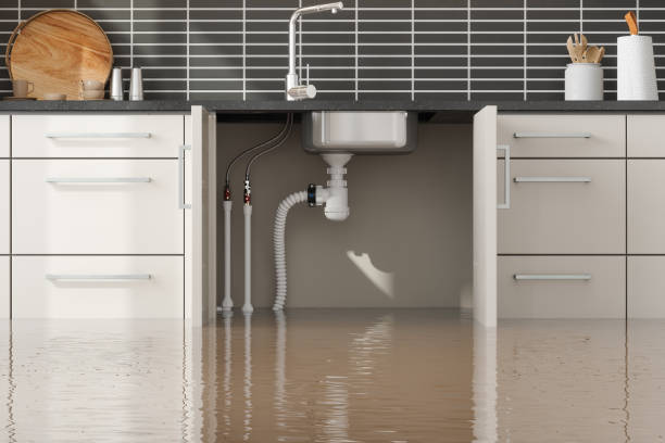 Best Water damage contractors near me  in North Logan, UT