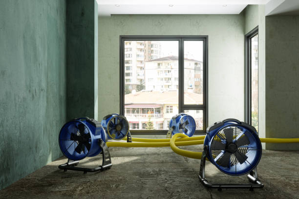 Best Mold removal after water damage  in North Logan, UT
